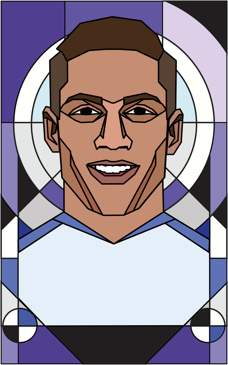 三面五星红 三面五星红