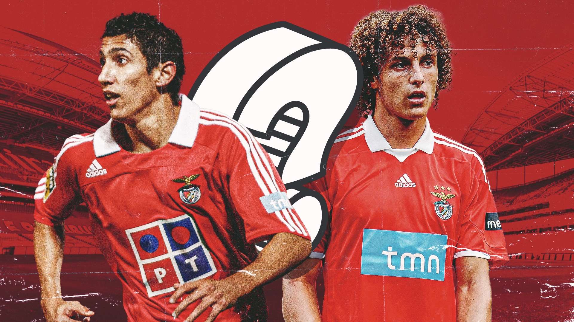 显得尤为珍 显得尤为珍